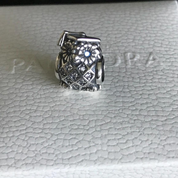 Pandora Graduation Owl Charm - Picture 1 of 2